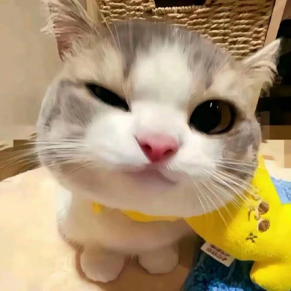 :::