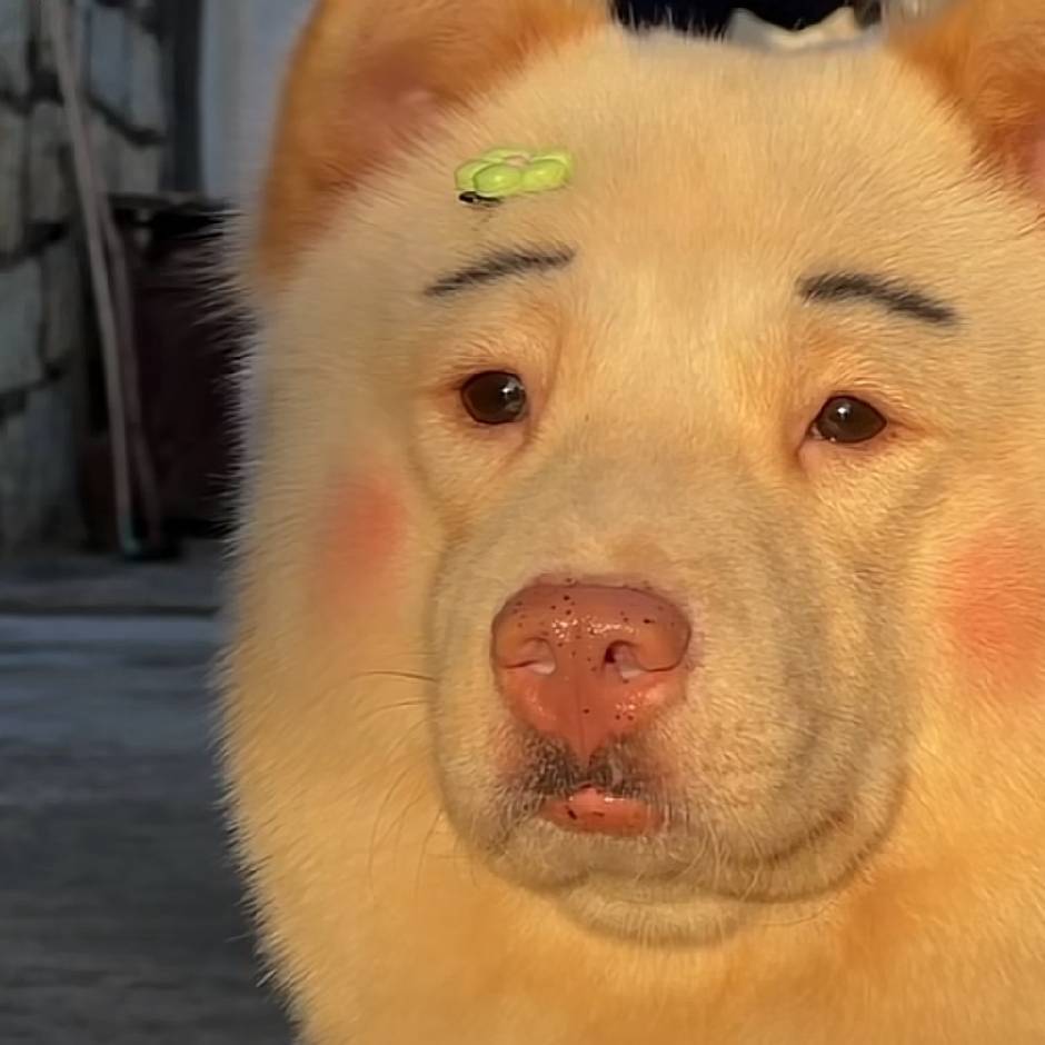 杨瑞（Tonkel）17502222870