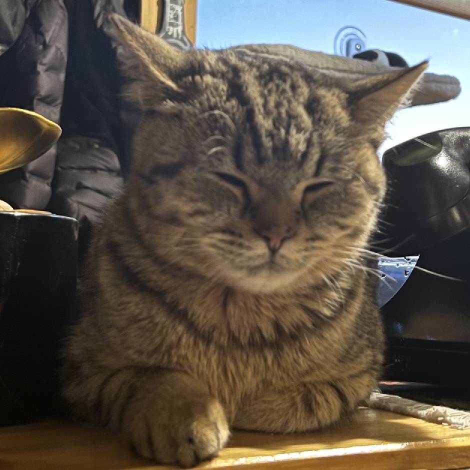 卢佳思