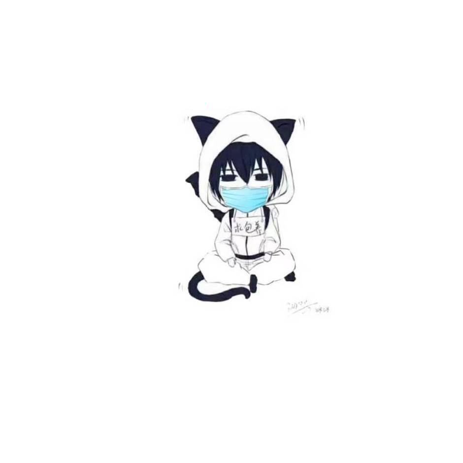 耗子