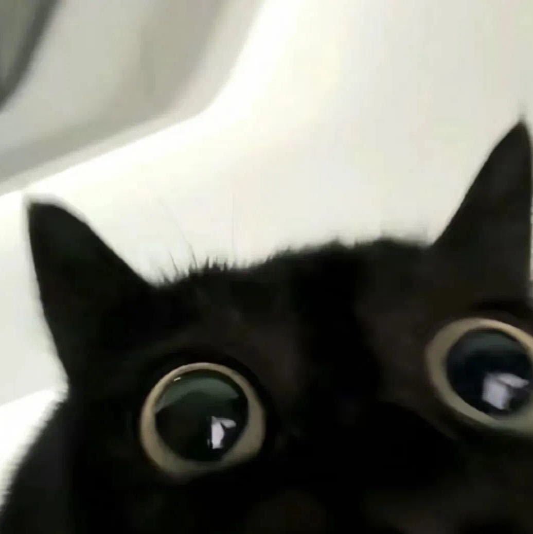 🌚