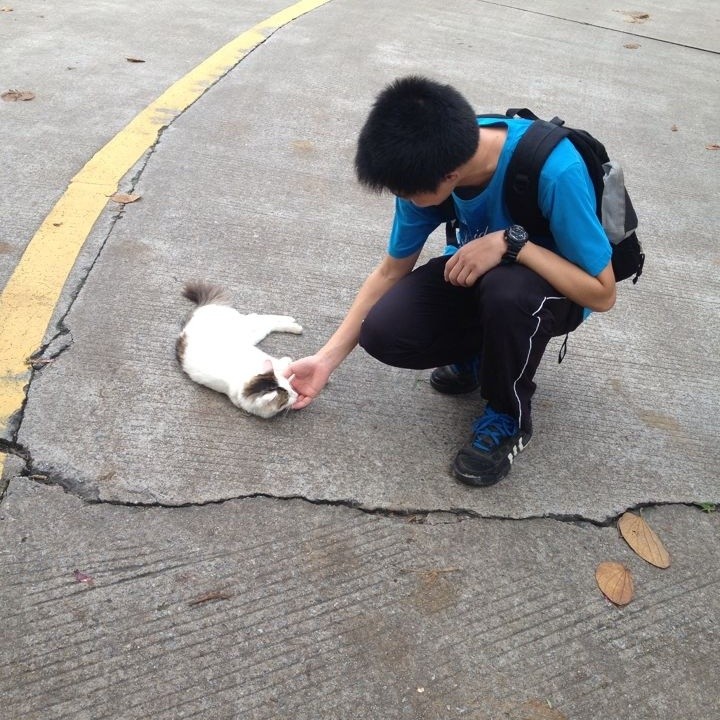 生子当如哈士奇