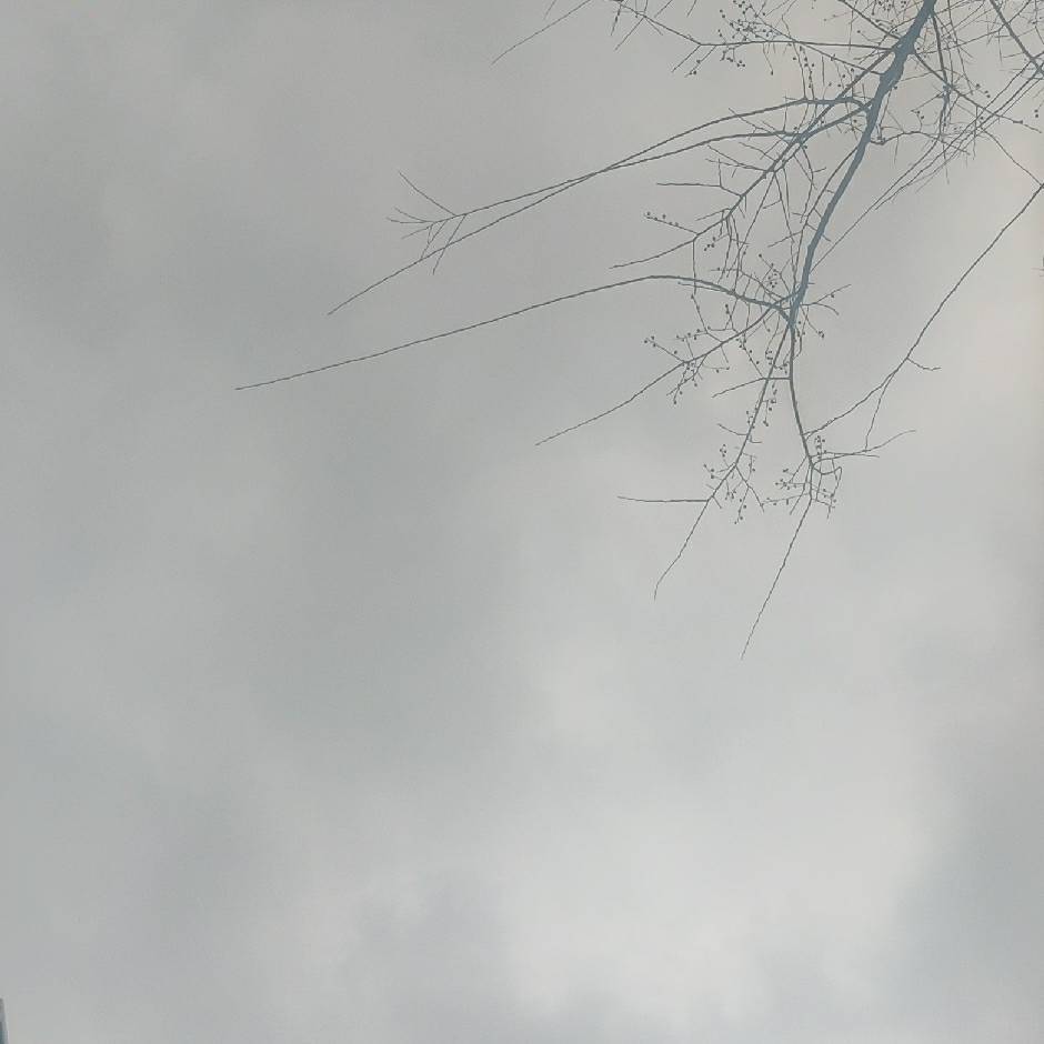 小明