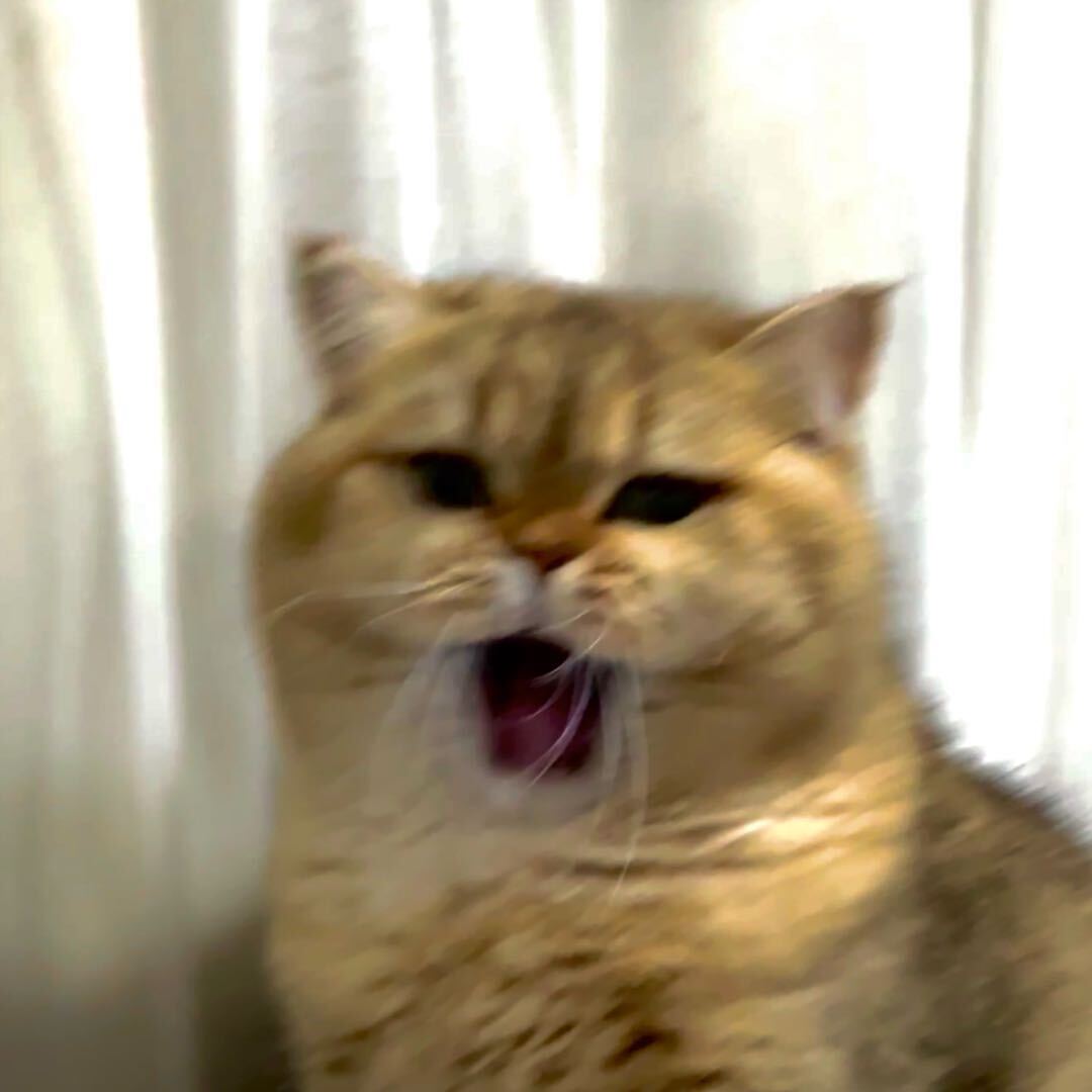 UFVQSV9JMDA=