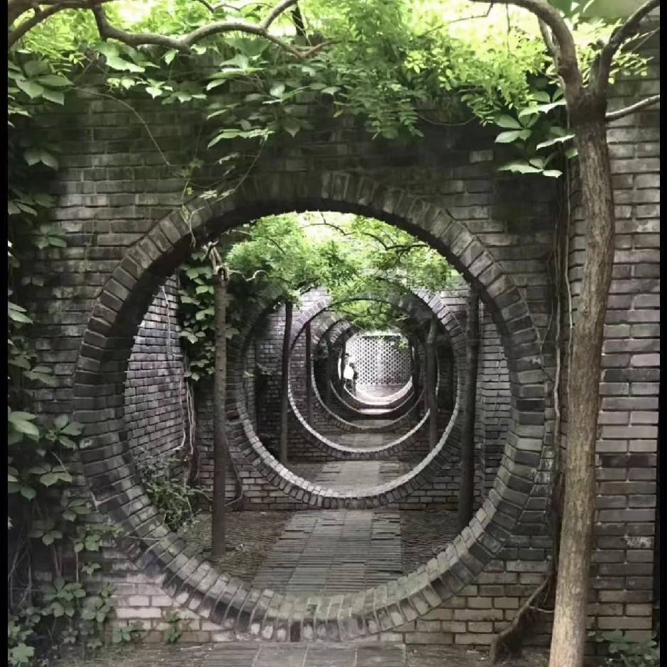 芒果