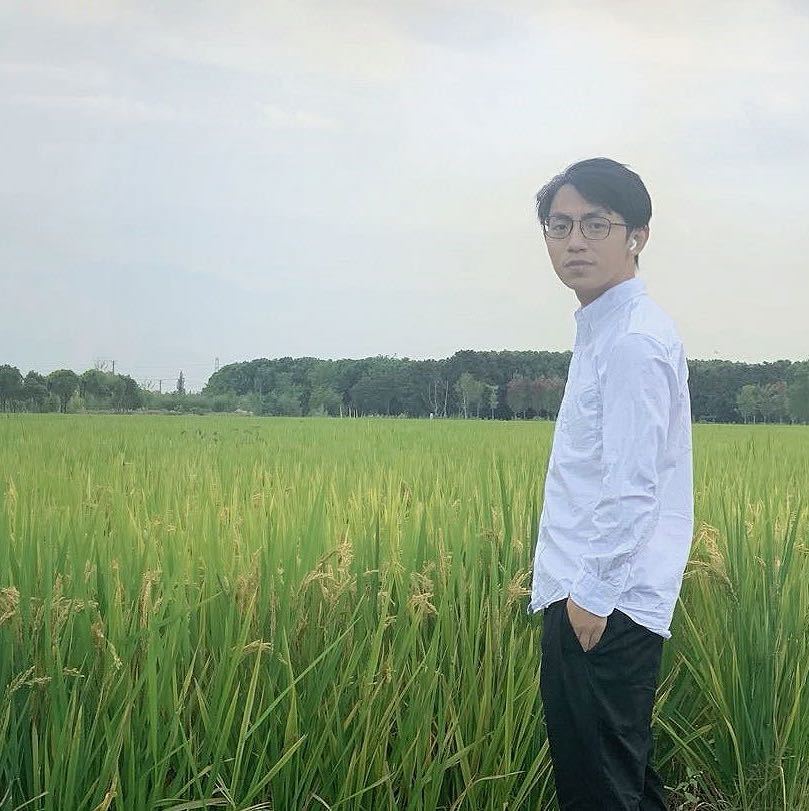 张陶