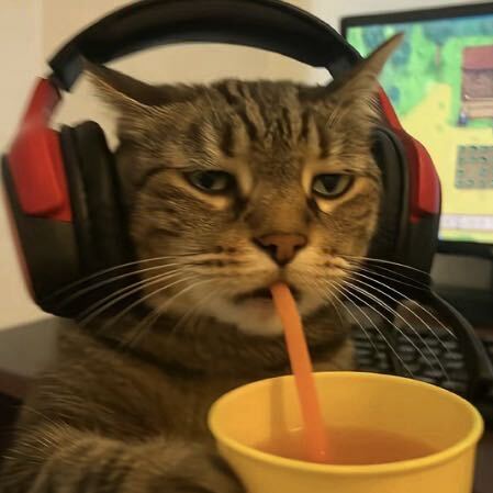 奋斗吧小青年°