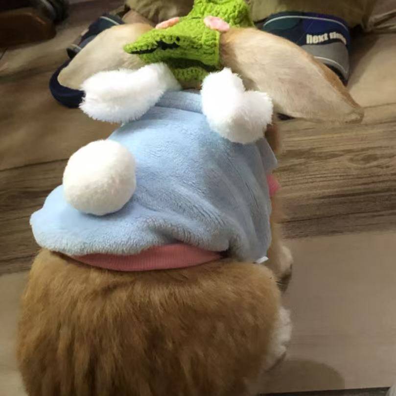 =ᗡ