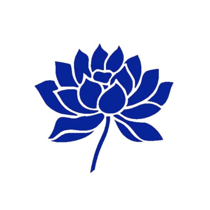 自由飞翔