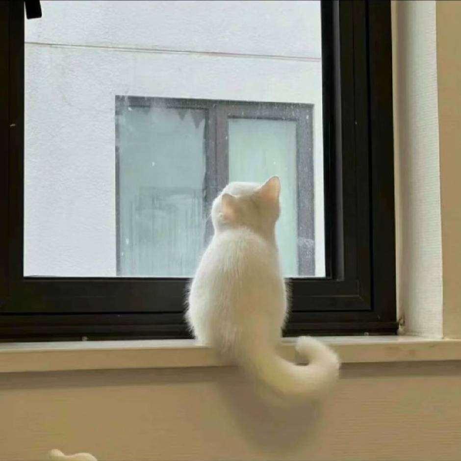 风清扬