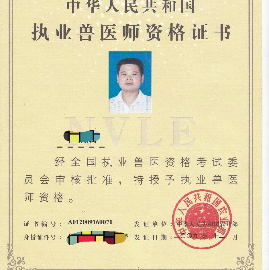 淡定的心