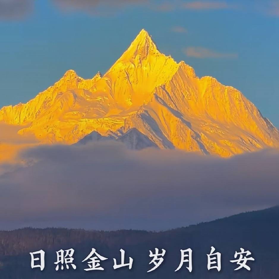 四阿哥