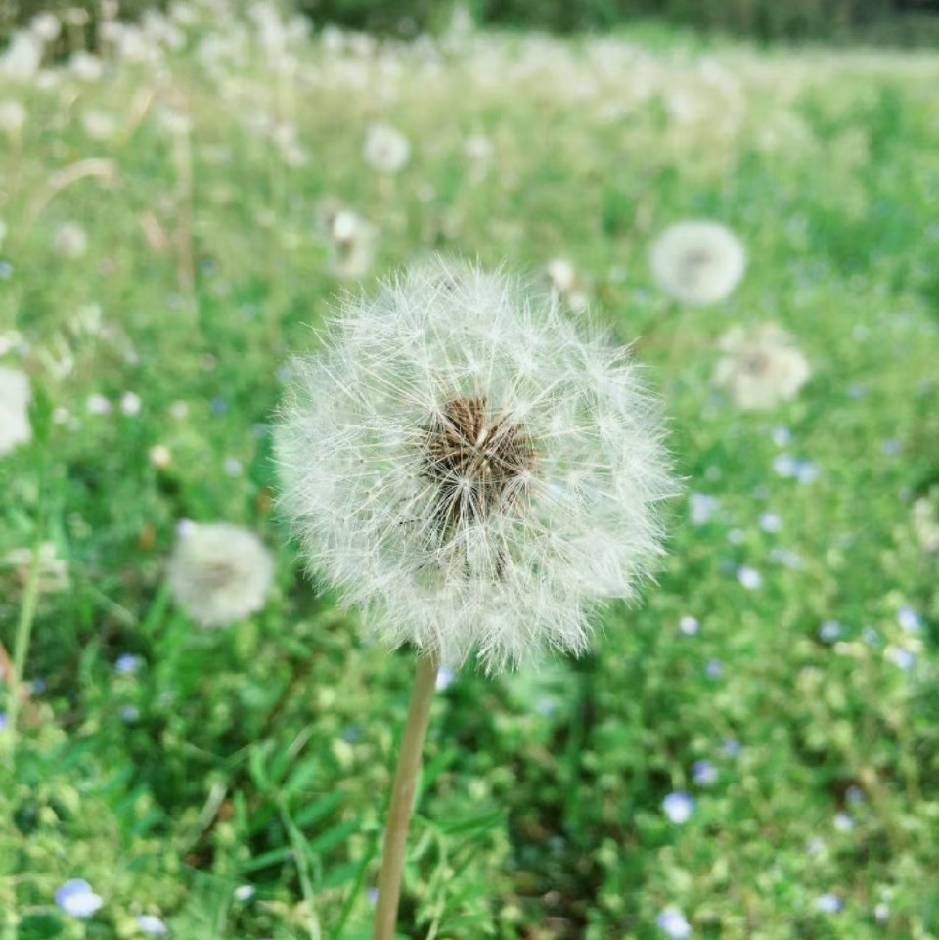 昱洁冰清/皓然快乐