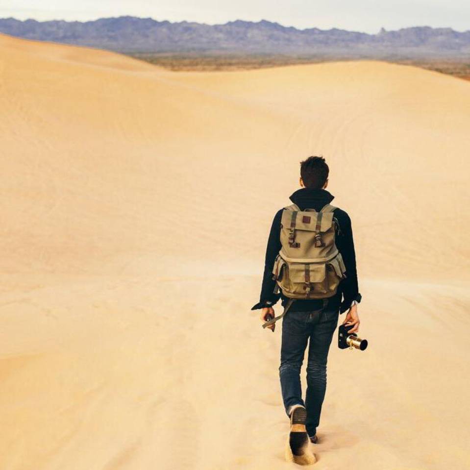 再见、那灿烂的忧伤。