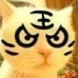 觉醒后的梦想