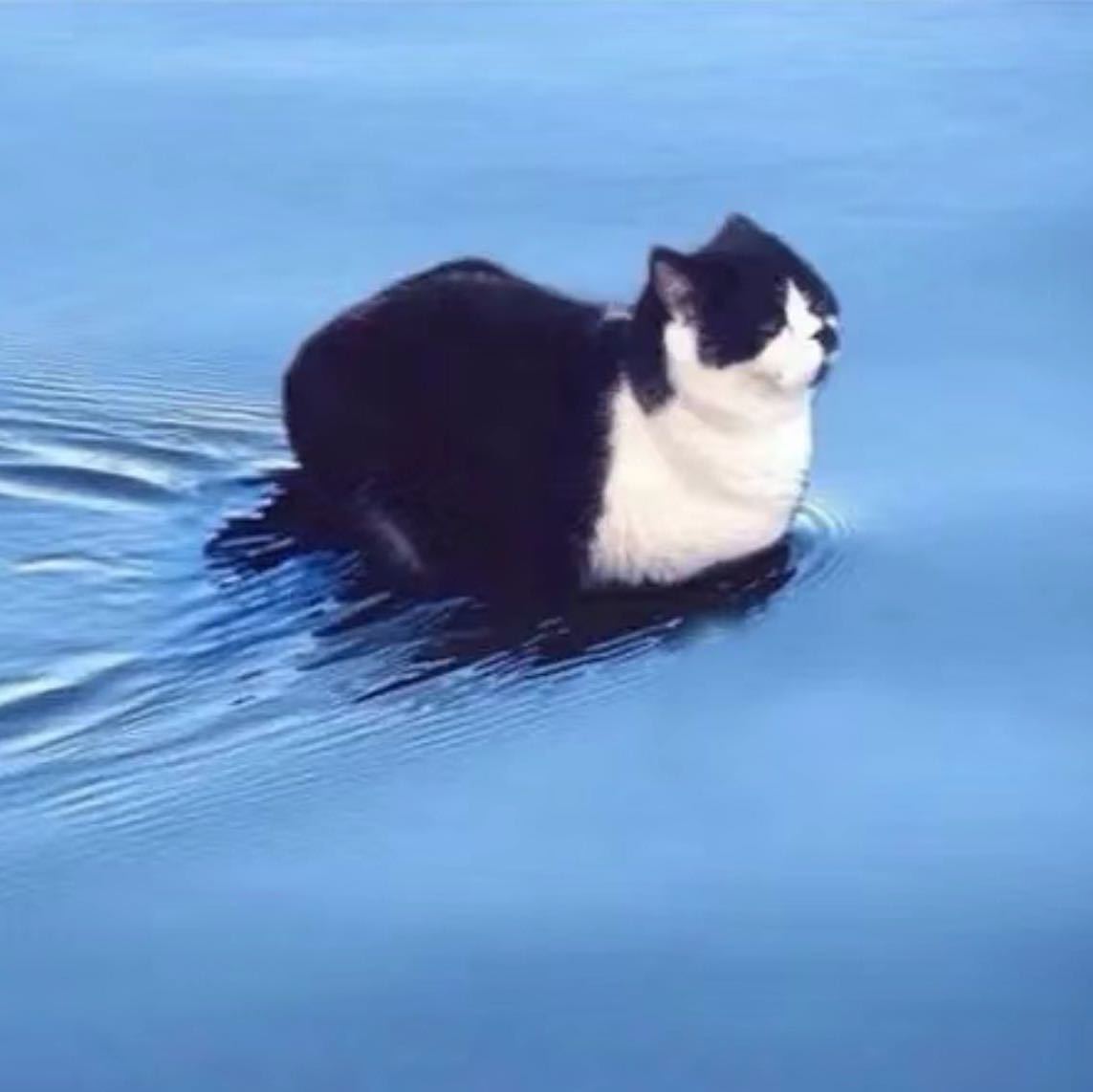 地球接住