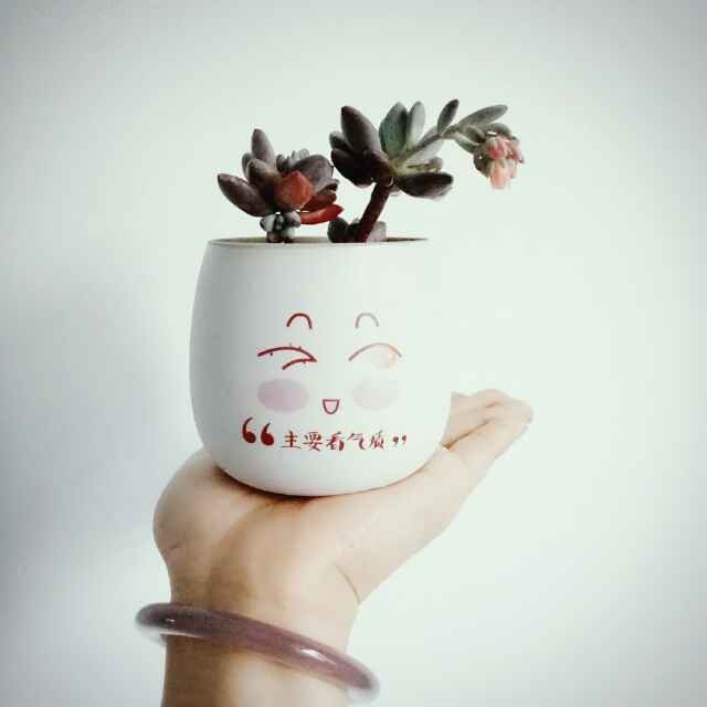 🙇 温壶老酒、且听风吟🏌