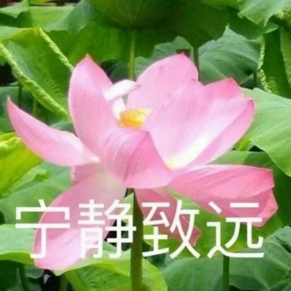 黄娟凉皮（合众人寿保险）