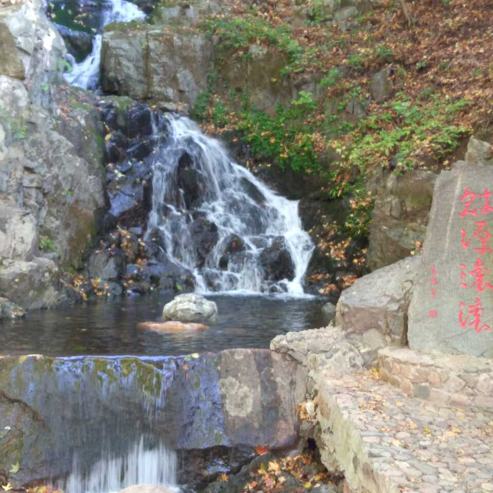 用戶頭像