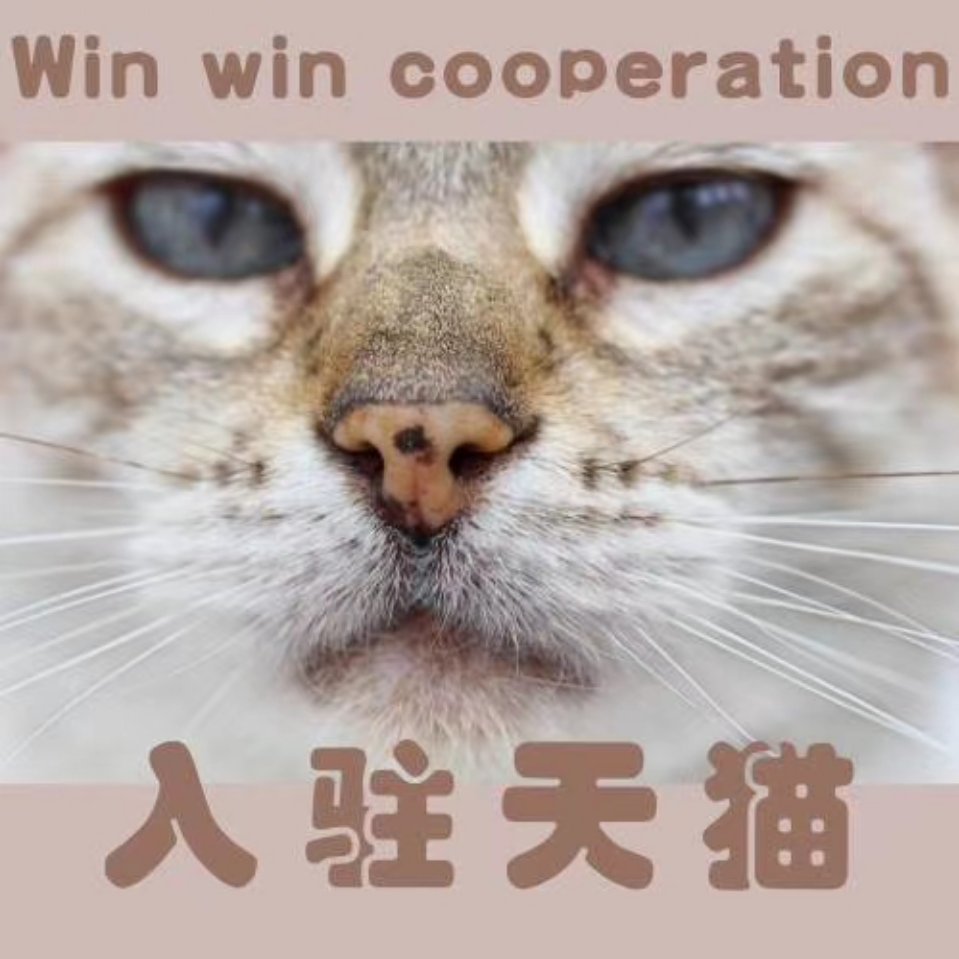 方经理-长期大量收公司入驻天猫