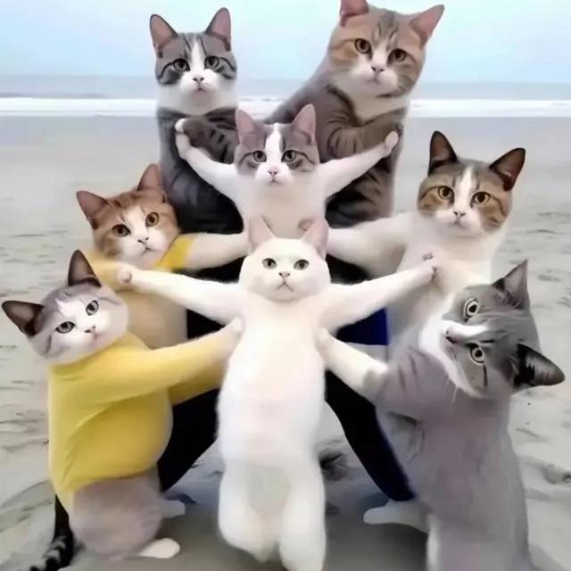 昵
称
是
个
多
余
的
文
字
罢
了