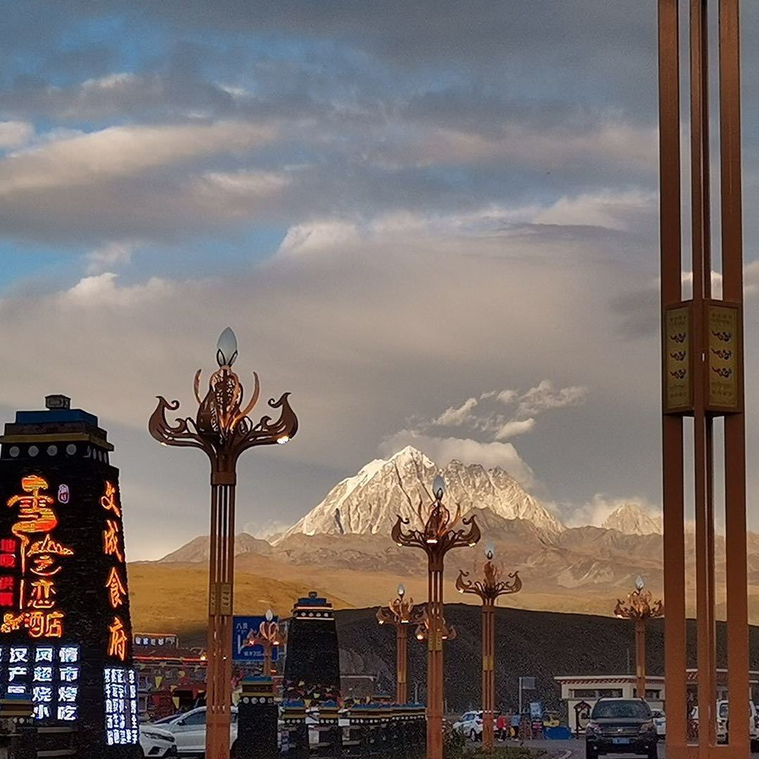 单纯的程序猿Tiger