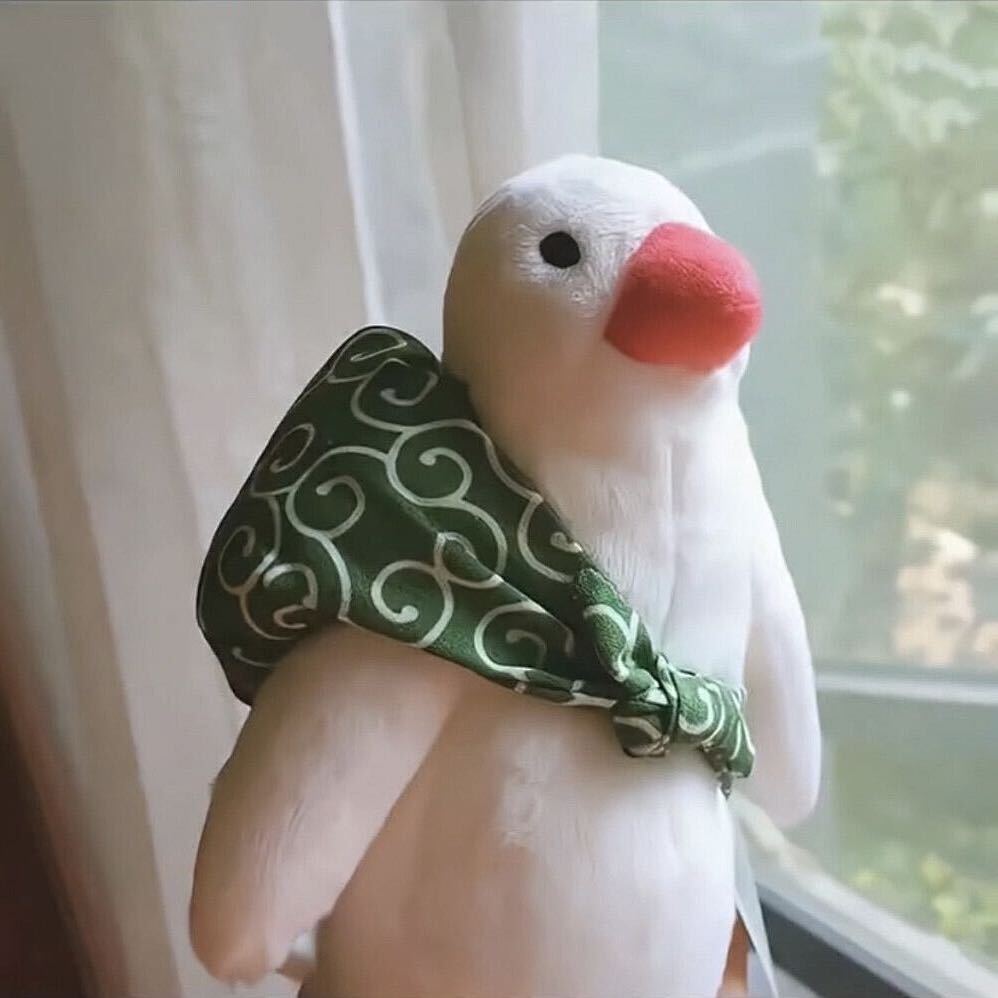 大篮子
