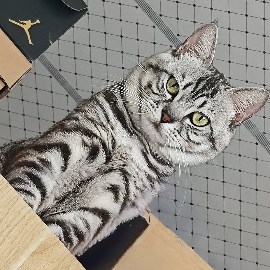 Long丶