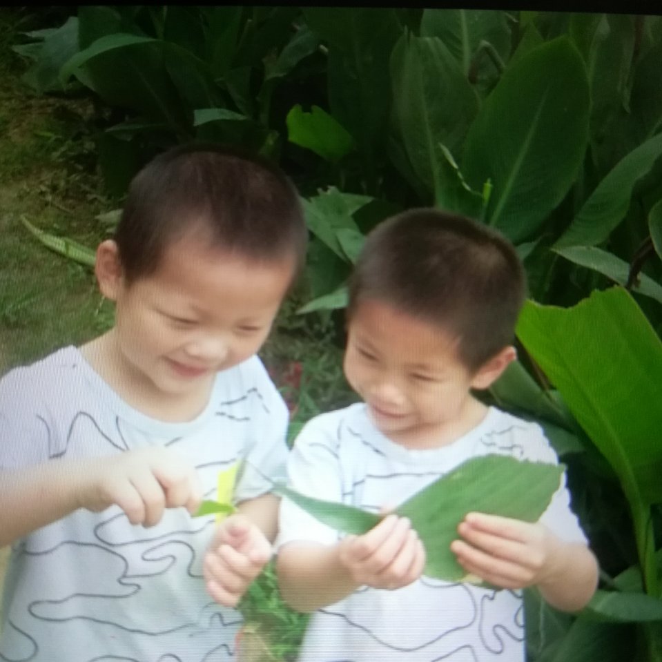 浩明浩翔（奶奶龚素芳）