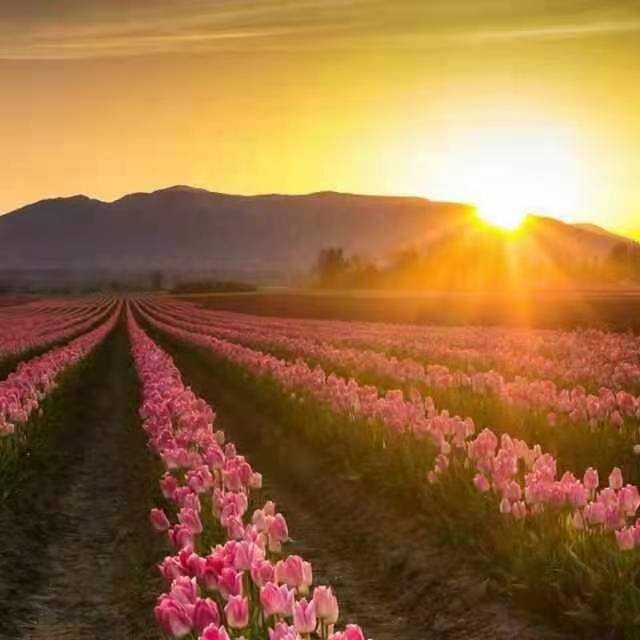 何绍勤！知足常乐