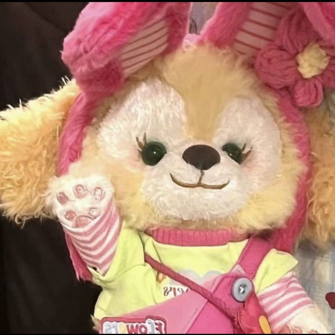 冬