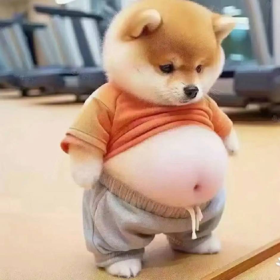 笑春风🍃
