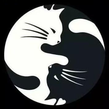 御猫