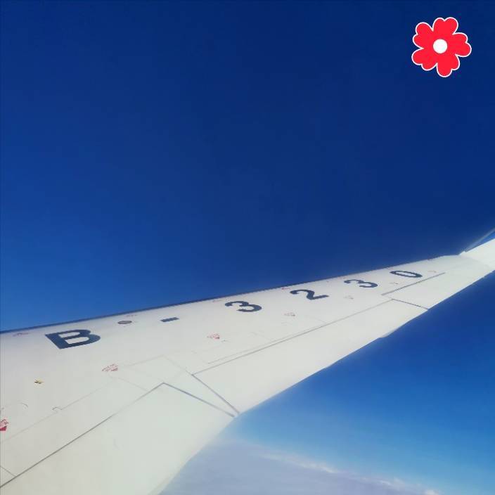 阿涛