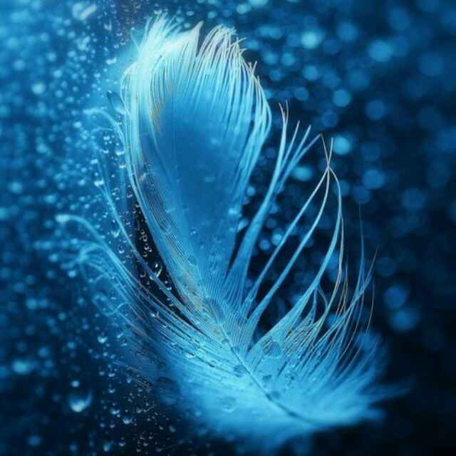 小思（微膳云点餐收银系统）传导