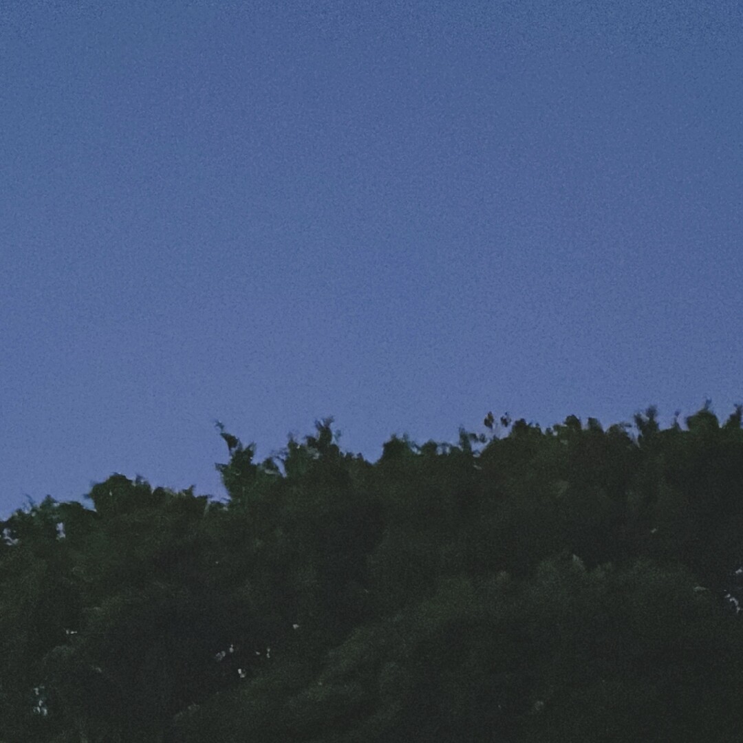 不知名
