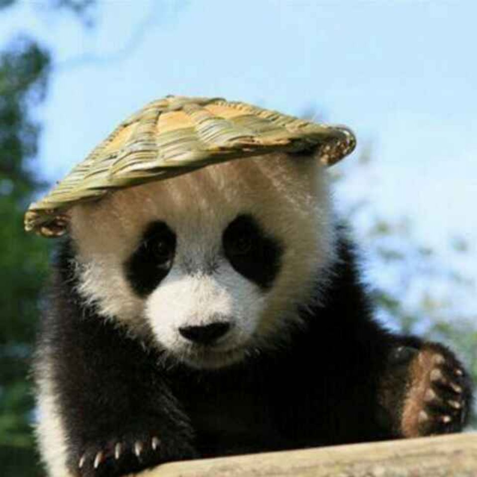 A0.路小程序&网站建设