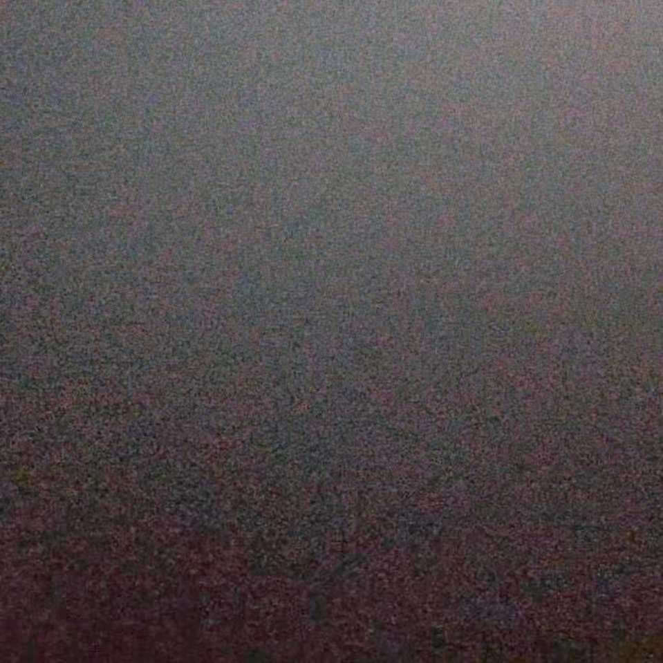 陳宇樂