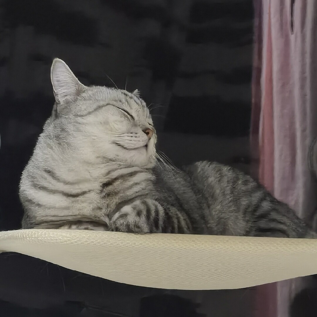 ºωº