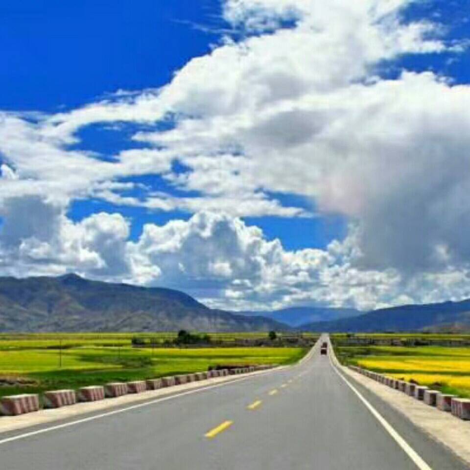 A诚邀共赴 17742955692