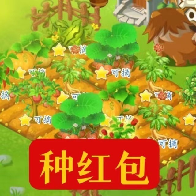 合肥市瑶海区索攒网络科技工作室