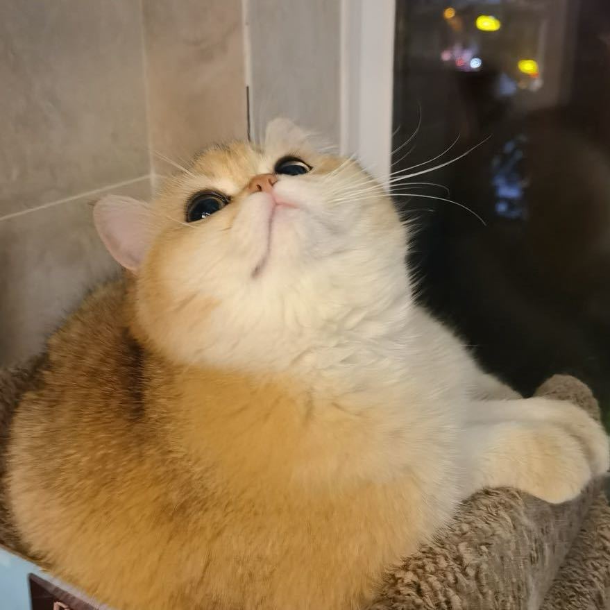 久玺