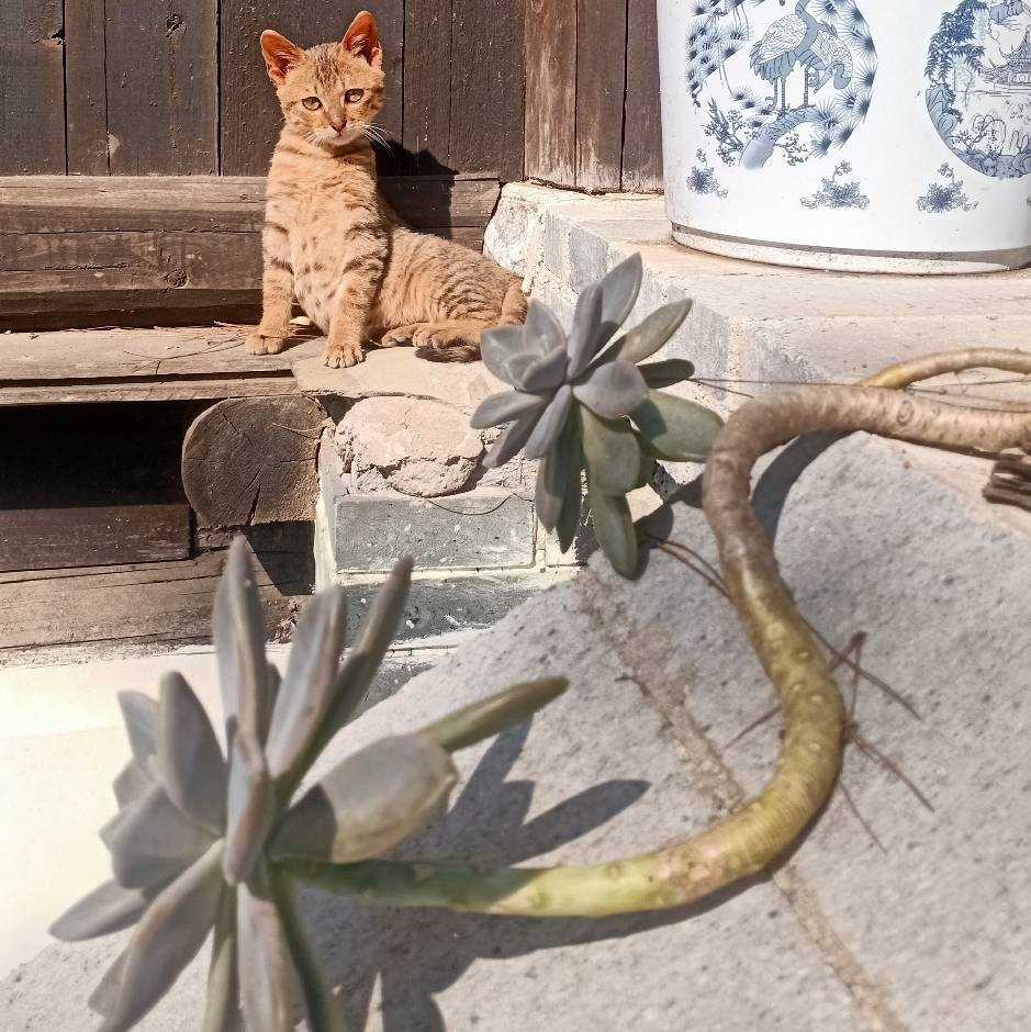 天下万物生于有