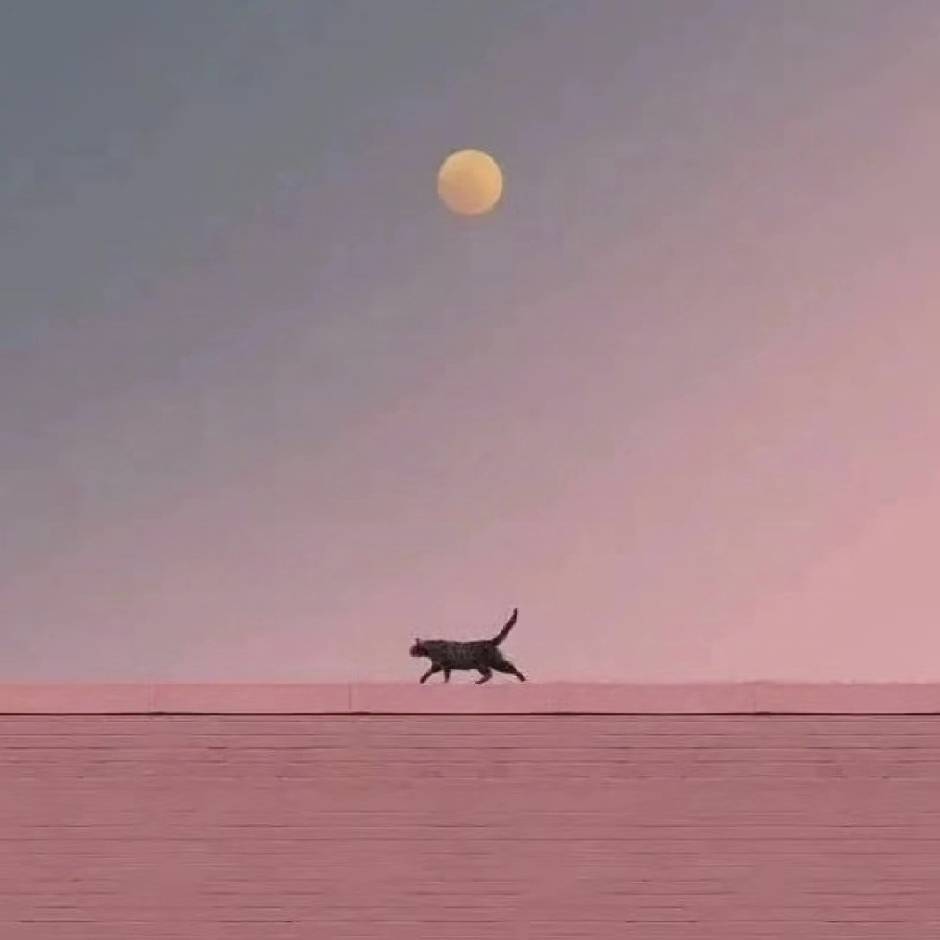 渐晚.