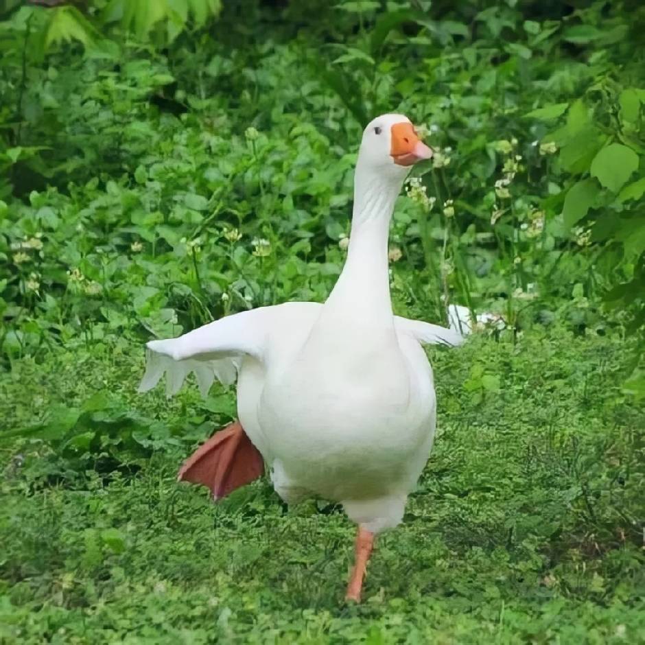 周周复始