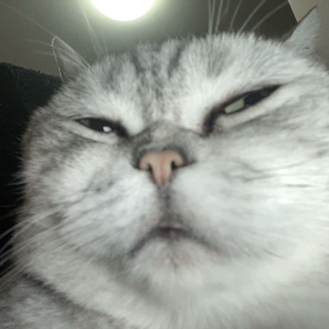 eoteltsim