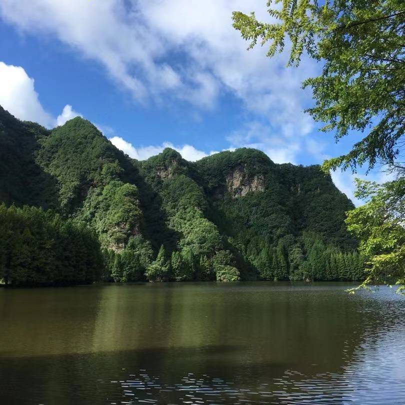顺势而为
