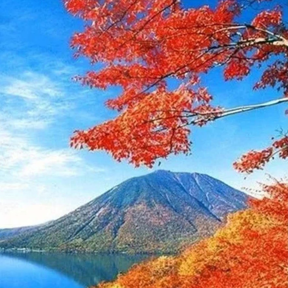 深  秀