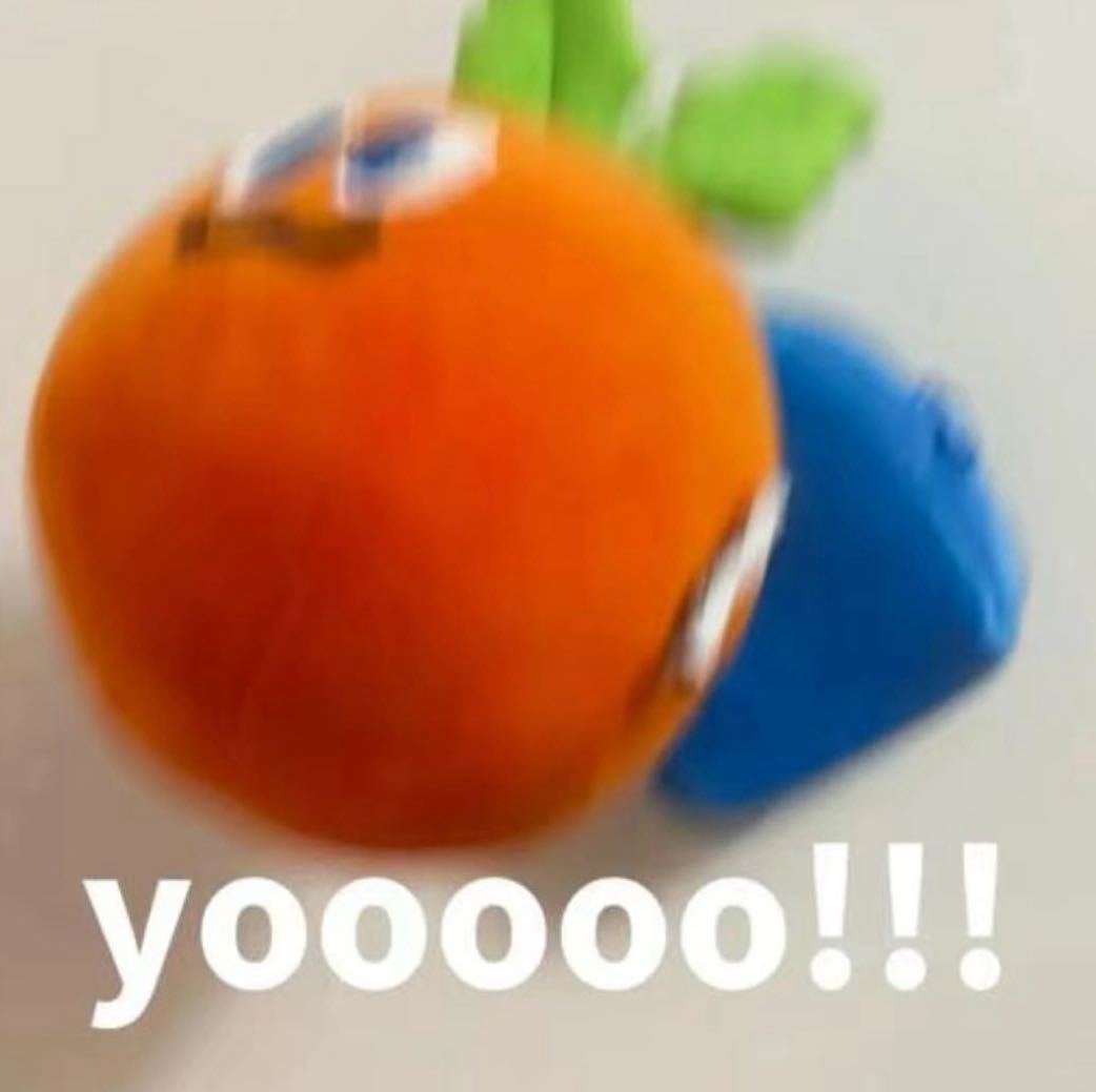 上海上海！一天就知道上海！