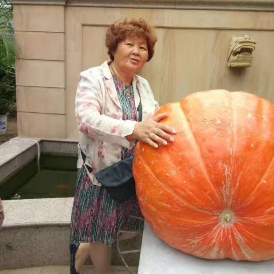 海城杨翠